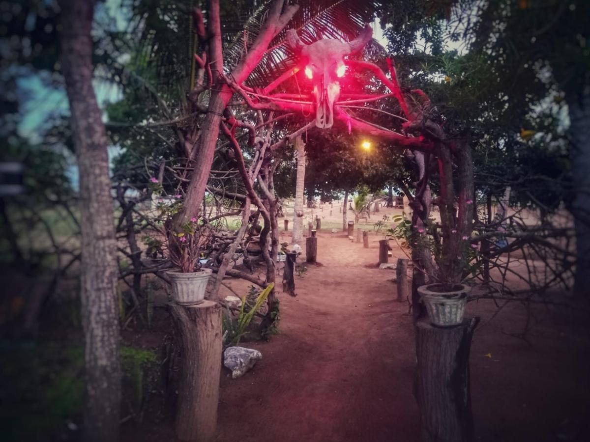 Beach Bungalow Yala Киринда Экстерьер фото