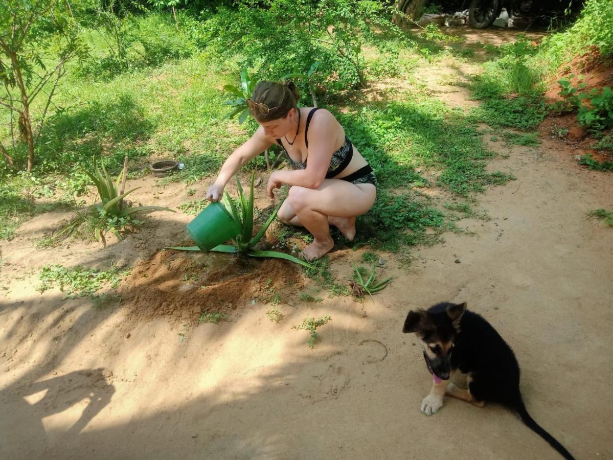 Beach Bungalow Yala Киринда Экстерьер фото