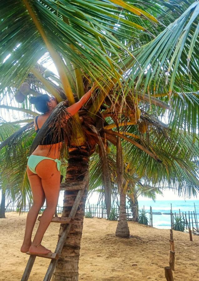 Beach Bungalow Yala Киринда Экстерьер фото