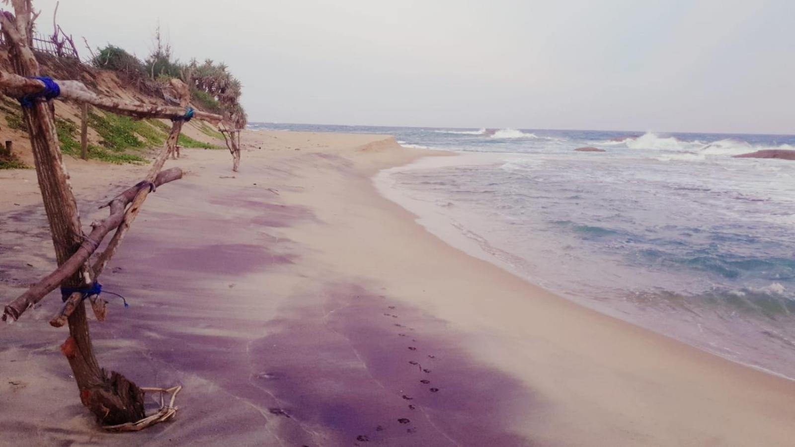 Beach Bungalow Yala Киринда Экстерьер фото