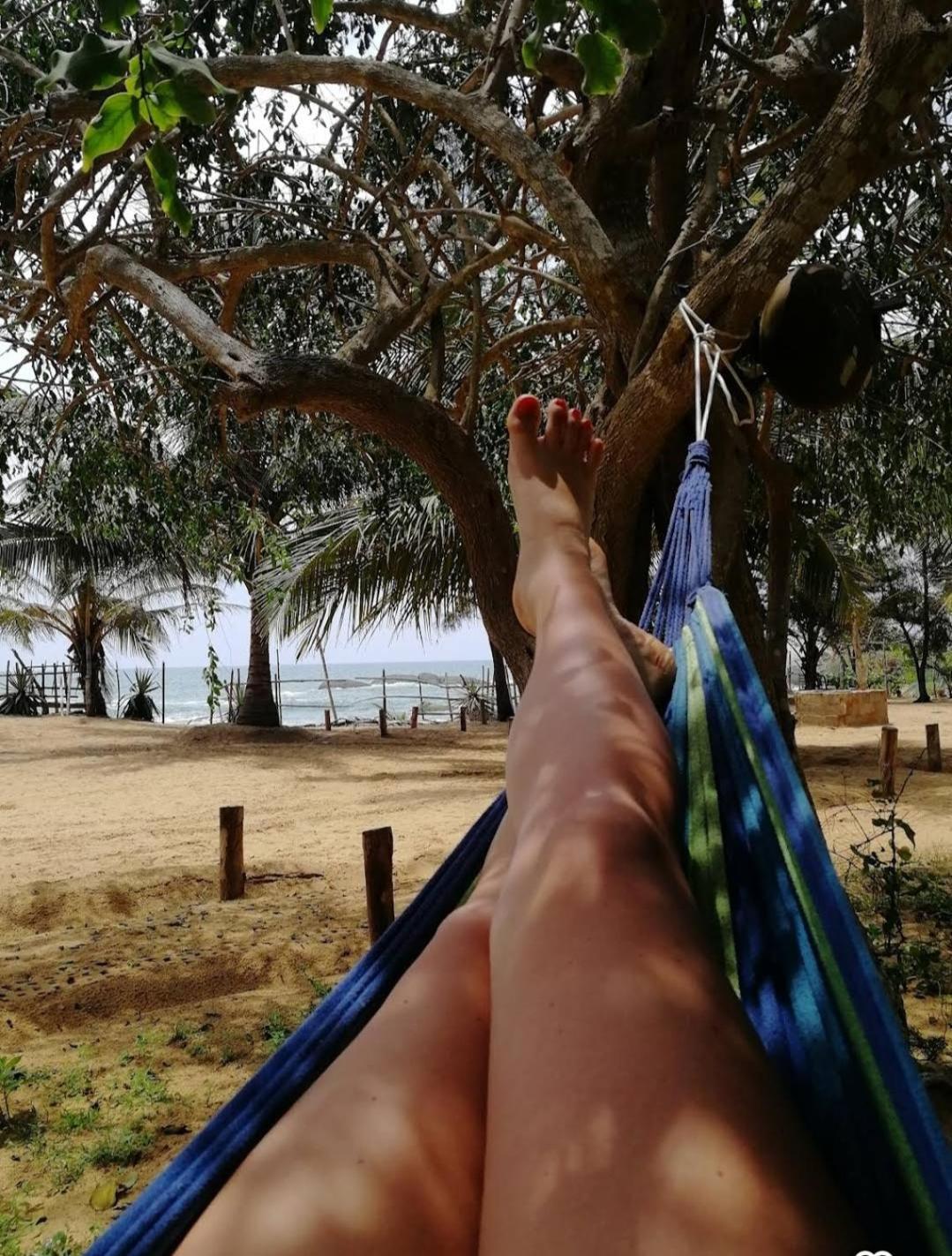 Beach Bungalow Yala Киринда Экстерьер фото